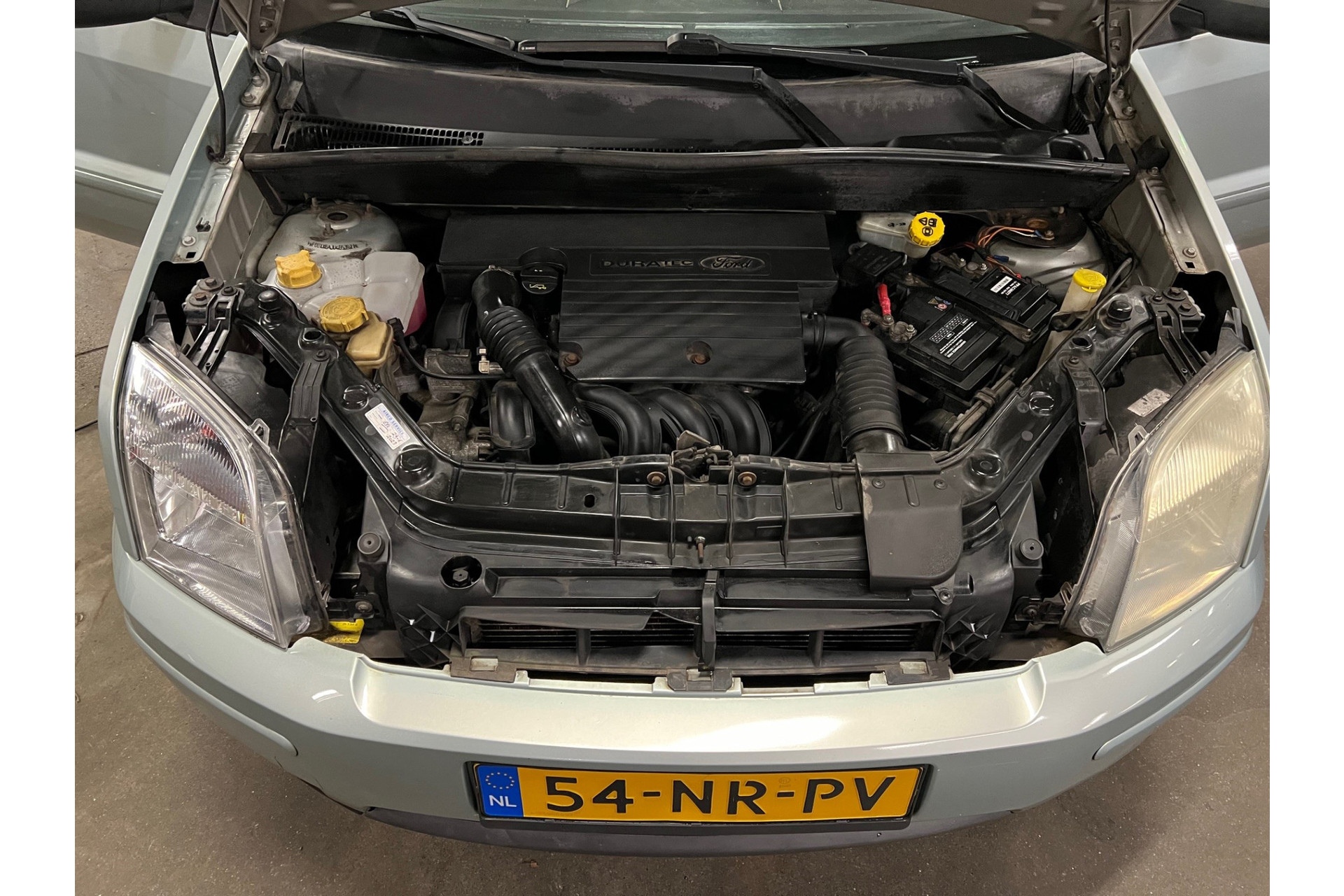 41894328-18.jpg