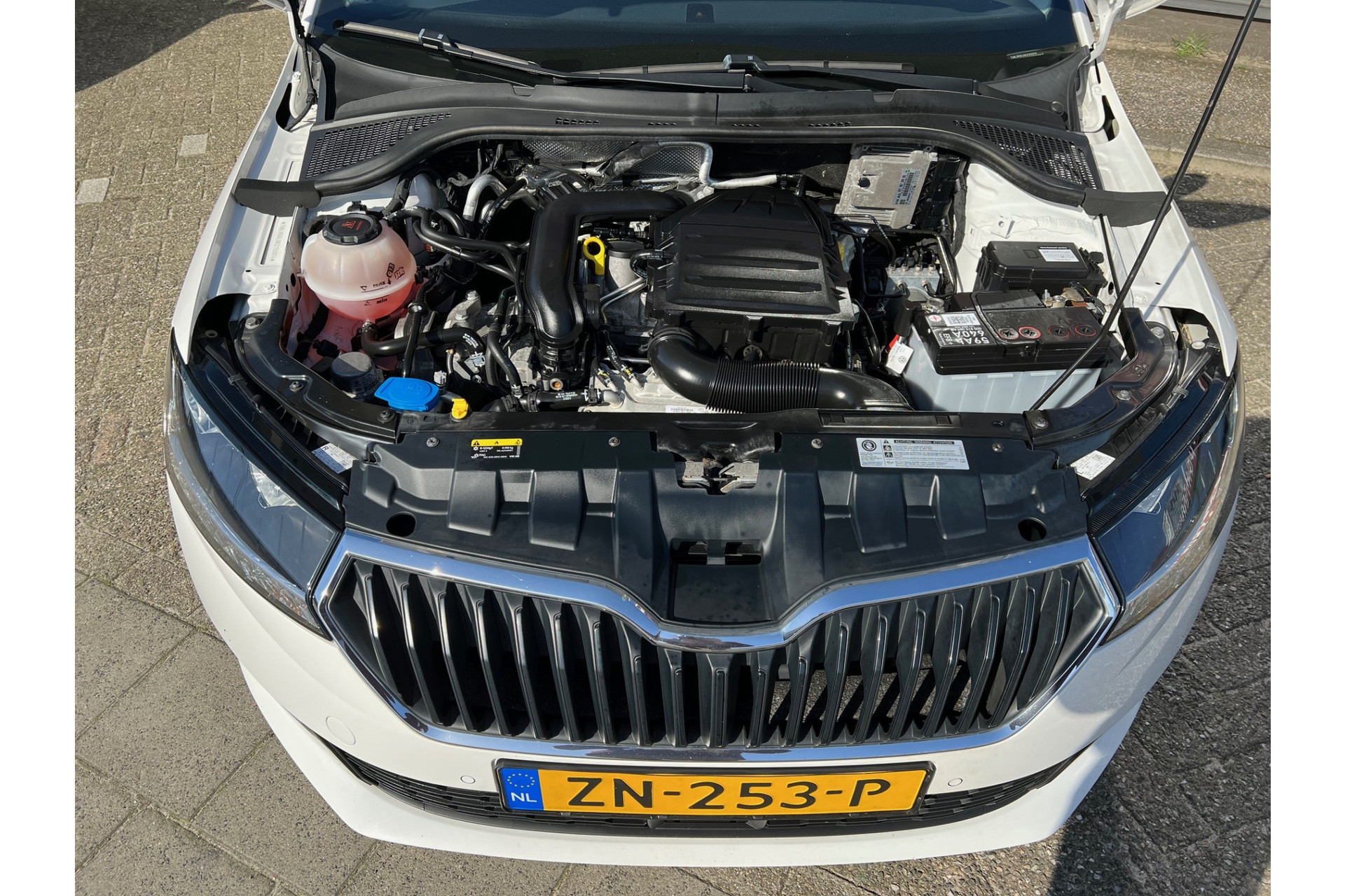43380985-23.jpg