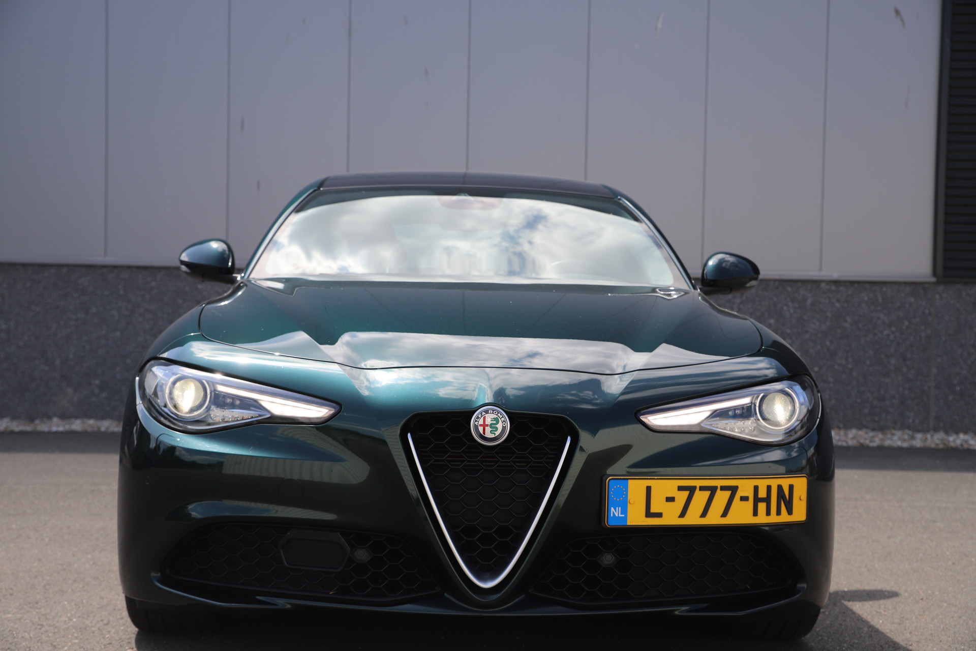 45808190-12.jpg