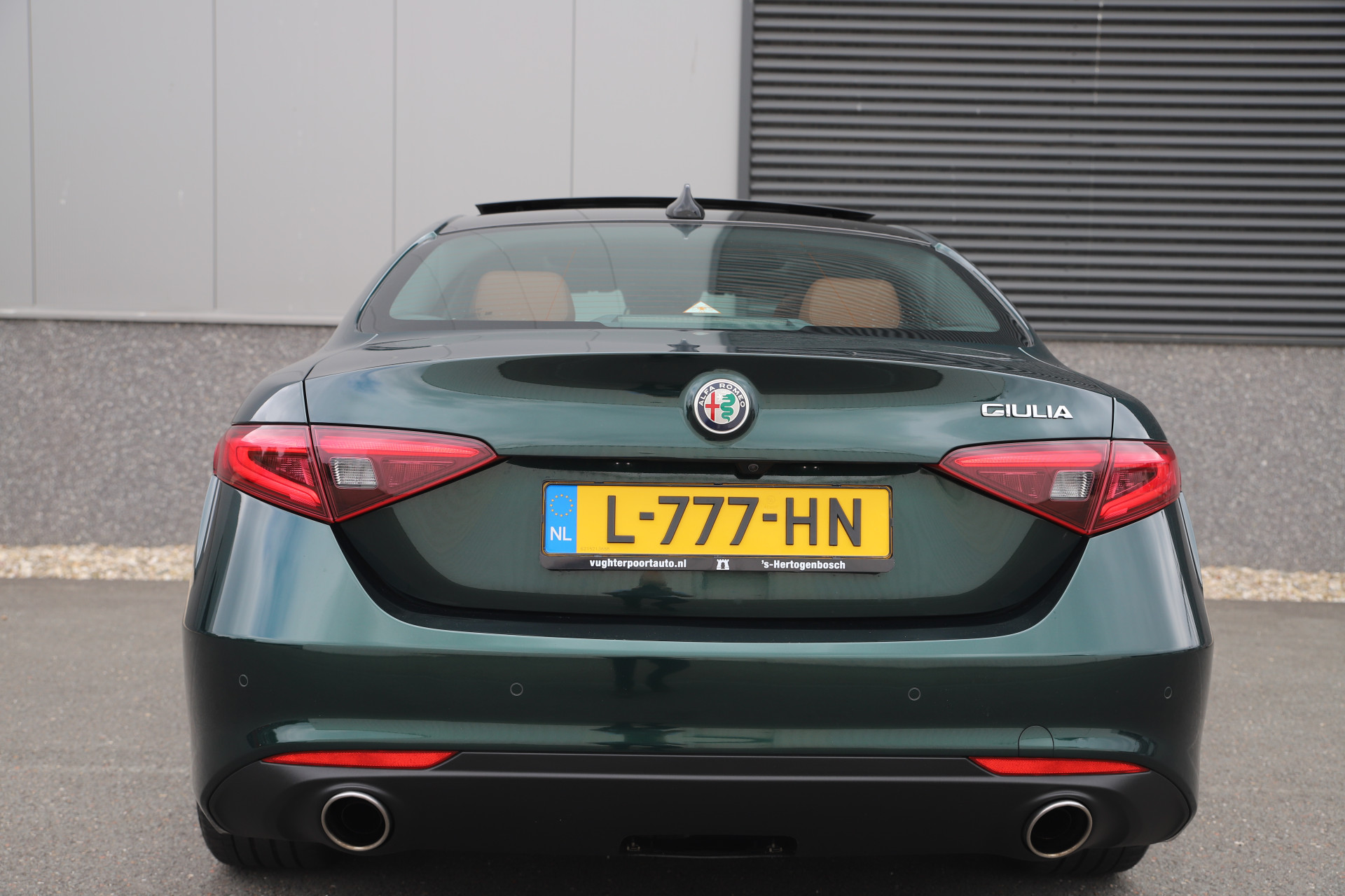 45808190-20.jpg