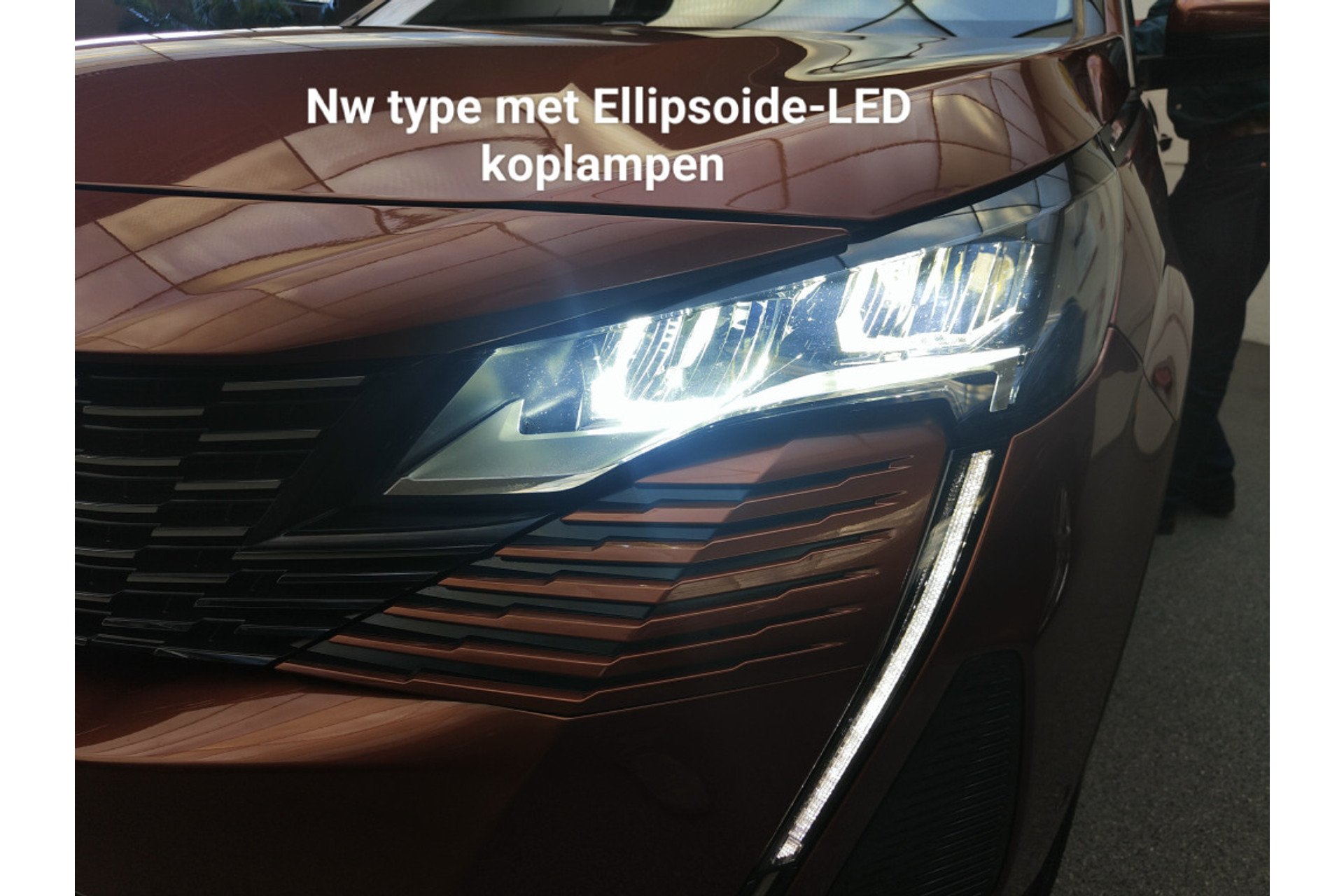 46155568-3.jpg