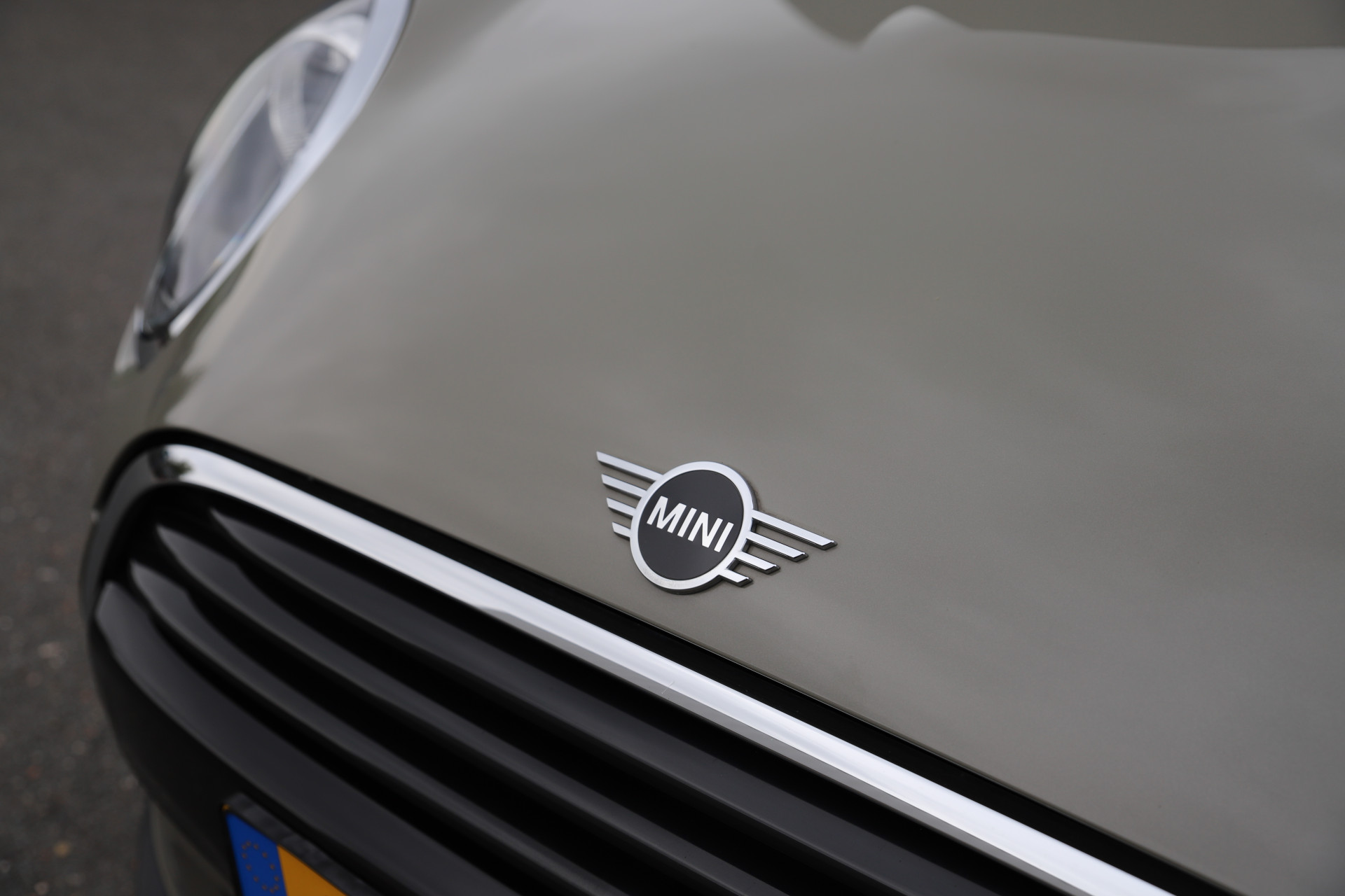 48152697-9.jpg