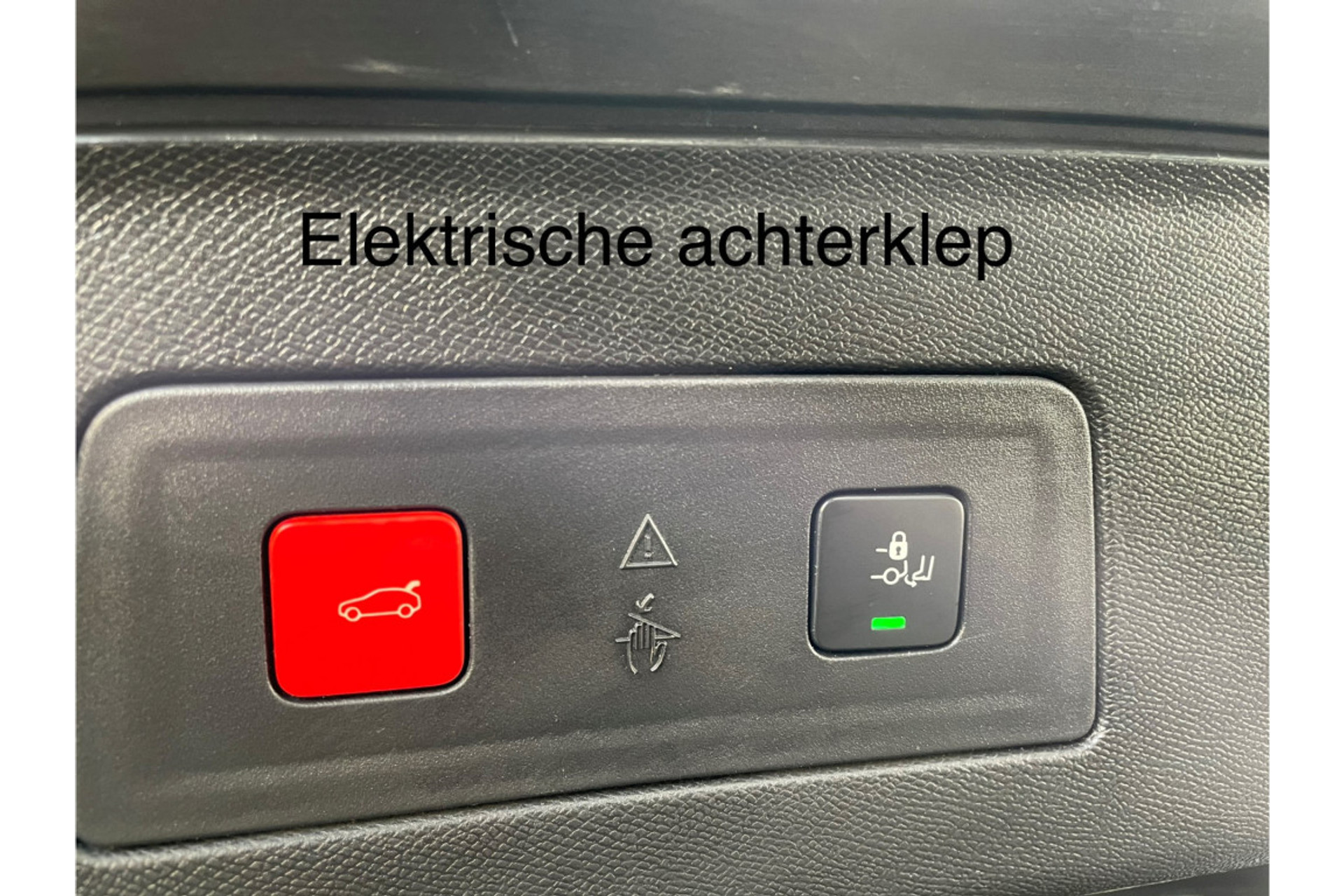 48537681-33.jpg