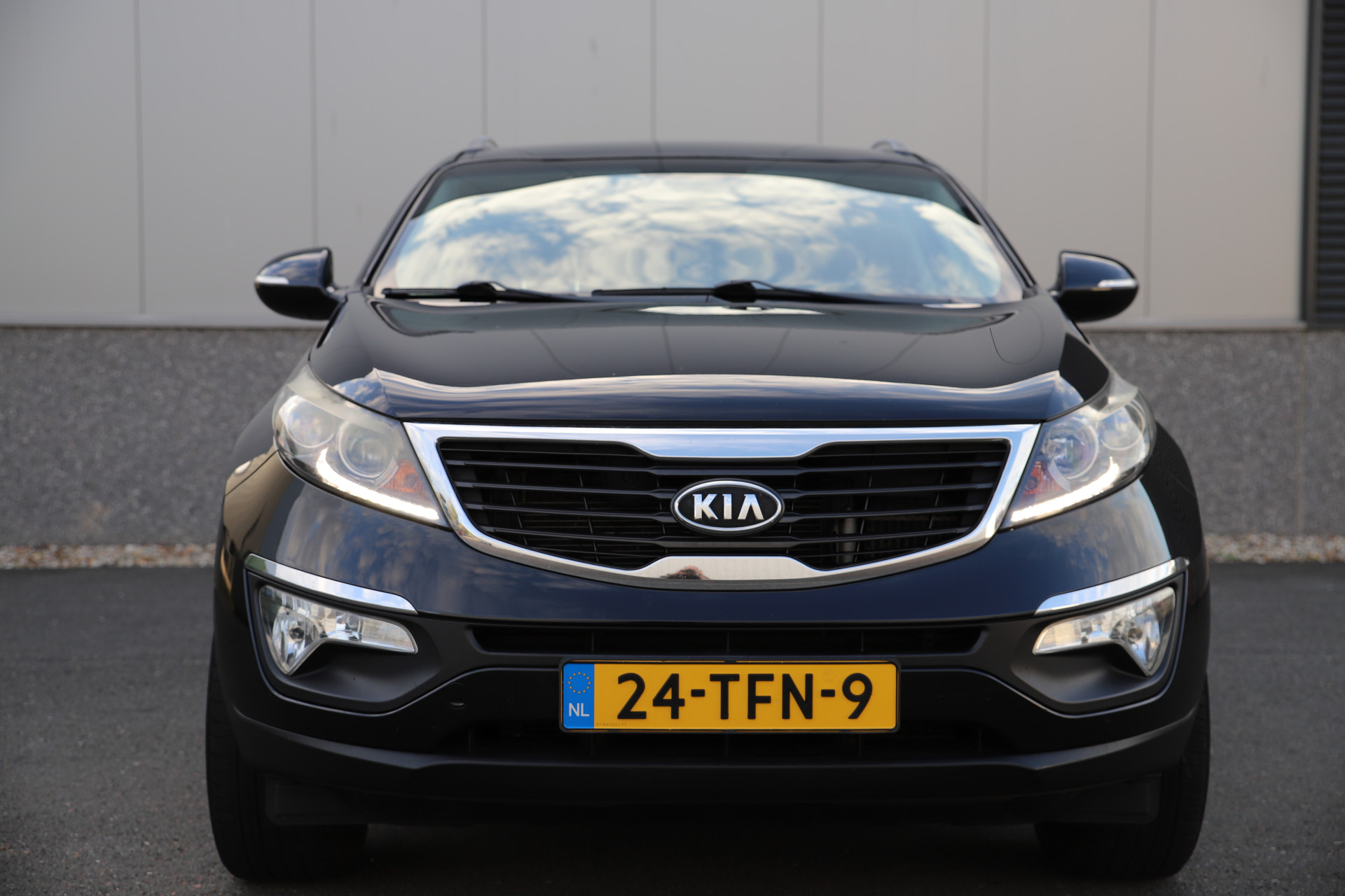 48609980-10.jpg