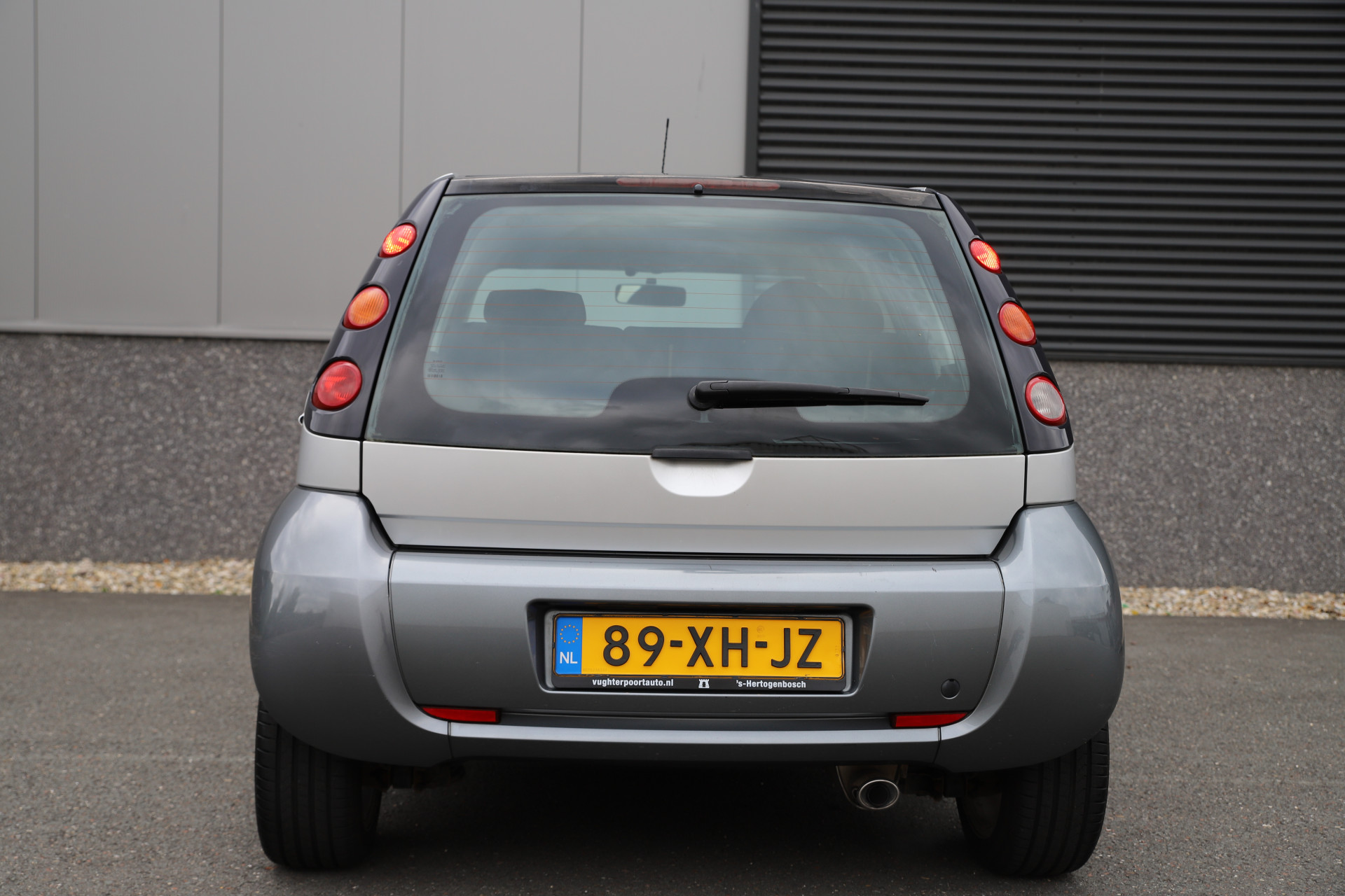 48619887-11.jpg
