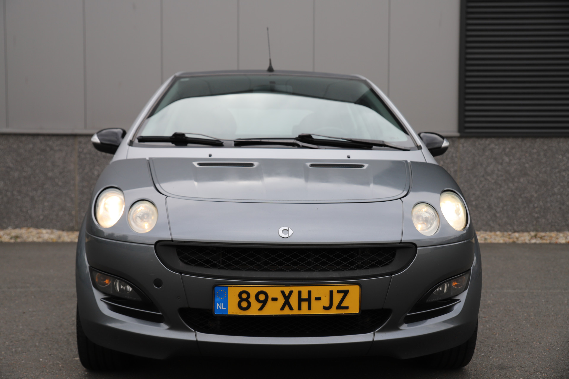 48619887-2.jpg